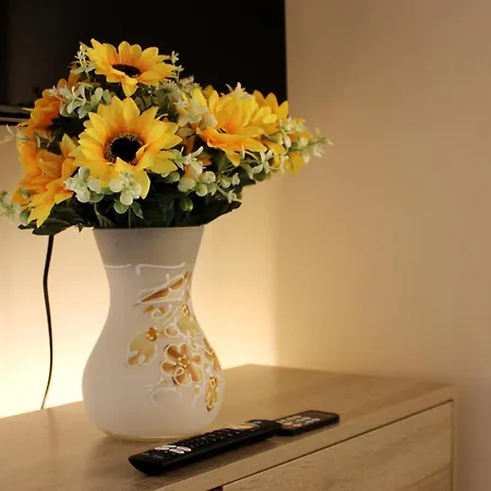 L' Antico Scoglio Comfort Nocera Terinese Scalo - 4,7 E 11 Ospiti - Navetta Aeroporto-stazione & Multi-destinazioni - Piscina - A 300mt - Giardino E Zona Pranzo All'aperto - Wifi & Smarttv - Aria Condizionata Apartment *