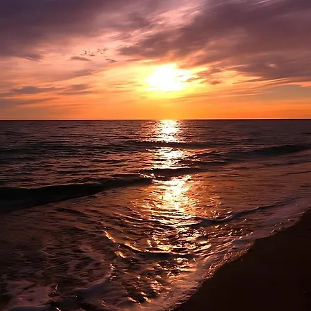 L' Antico Scoglio Comfort Nocera Terinese Scalo - 4,7 E 11 Ospiti - Navetta Aeroporto-stazione & Multi-destinazioni - Piscina - A 300mt - Giardino E Zona Pranzo All'aperto - Wifi & Smarttv - Aria Condizionata