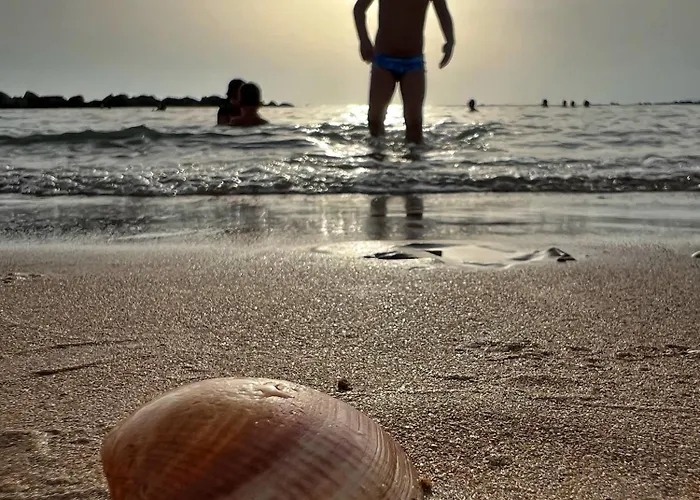 Apartamento L' Antico Scoglio Comfort Nocera Terinese Scalo - 4,7 E 11 Ospiti - Navetta Aeroporto-stazione & Multi-destinazioni - Piscina - A 300mt - Giardino E Zona Pranzo All'aperto - Wifi & Smarttv - Aria Condizionata *